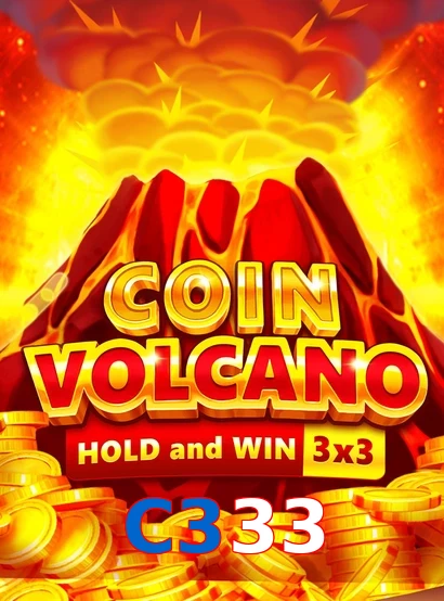C333